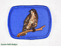 Click to enlarge Hawk